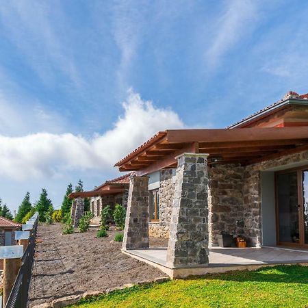 Rochao Village By Rent2U, Lda Calheta  Εξωτερικό φωτογραφία